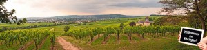 Urlaub-Kindergeburtstag-Rheingau